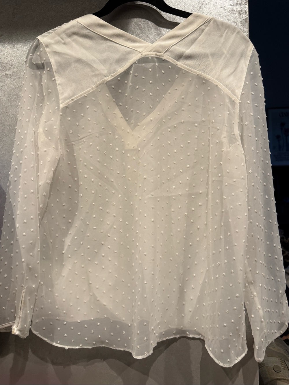 Zara Cream Sheer Swiss Dot V-Neck Blouse